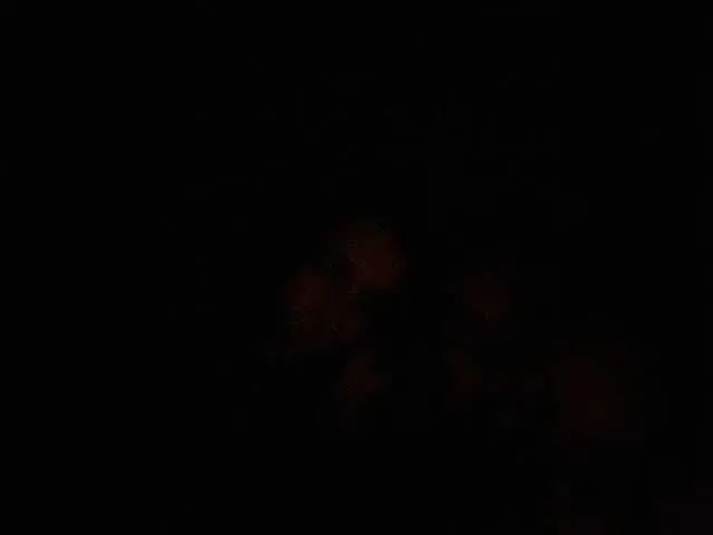 Di-Quodnone — Assembling on a normal camera  @total assembled @sofar left @remain 