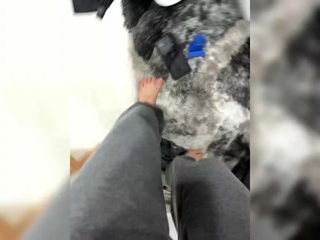 lucygirl- from BongaCams is Freechat