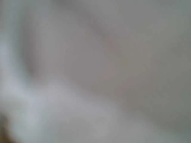 BongaCams yve-barbiee is Freechat yve-barbiee — #ebony