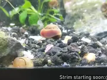 booker_baxton — JiMMMMMMMMMMM #uncut #young #gay #bi #twink