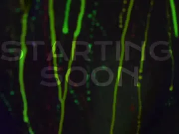 heybanan on Chaturbate