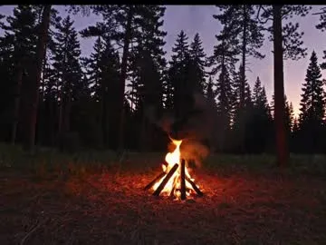 kaileeshy on Chaturbate