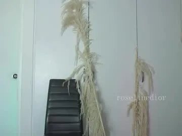 roselinedior — want to get wet with you and make you feel the richestIG: roselindiorr  - Multi Goal: twerking without panties [222 tokens left] #cum #trans #fetish #twerk