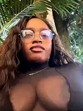 darle_volant — Control domi last tiper