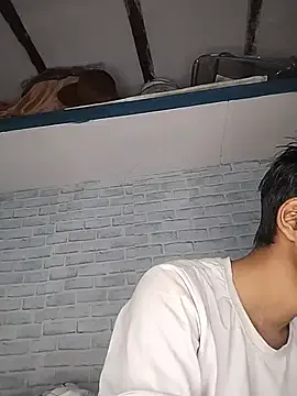 Gaymodel — Buy Lovense Lush