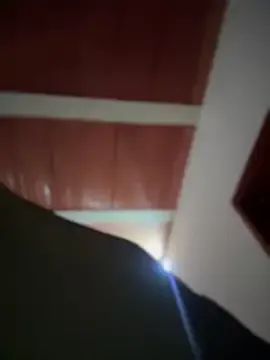 lalilamassu1 on StripChat
