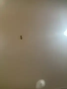 Maskedduo3233 — Freechat on StripChat