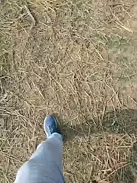 Pagelboy_089 — My bad week recovery