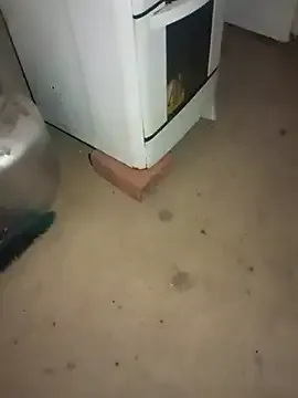 puta___br — 7588135576 meu zap