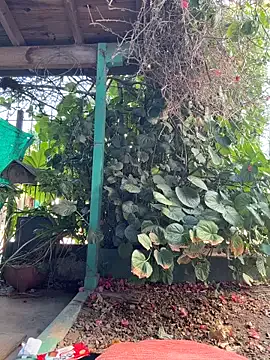 Sofyalone_ — PLAY WITH MY BIG TITS (    ) + CREAM